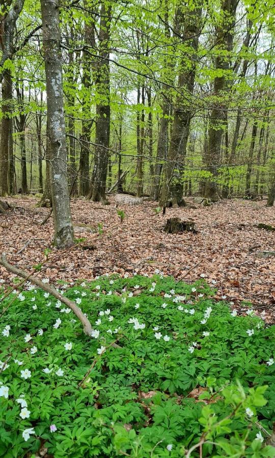 Lill Hagahus, Soederasens Nationalpark Villa Kågeröd Екстериор снимка